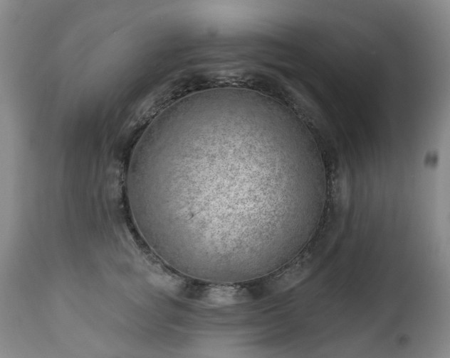 X0000112460757200908241258