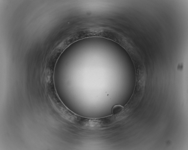 X0000112460758200908241259