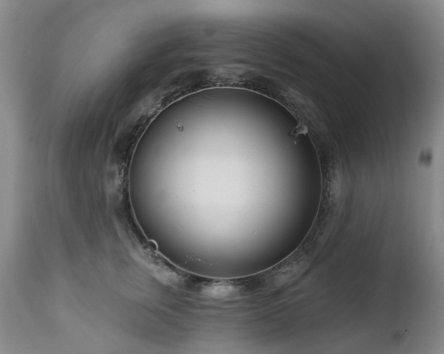 X0000112460759200908241259