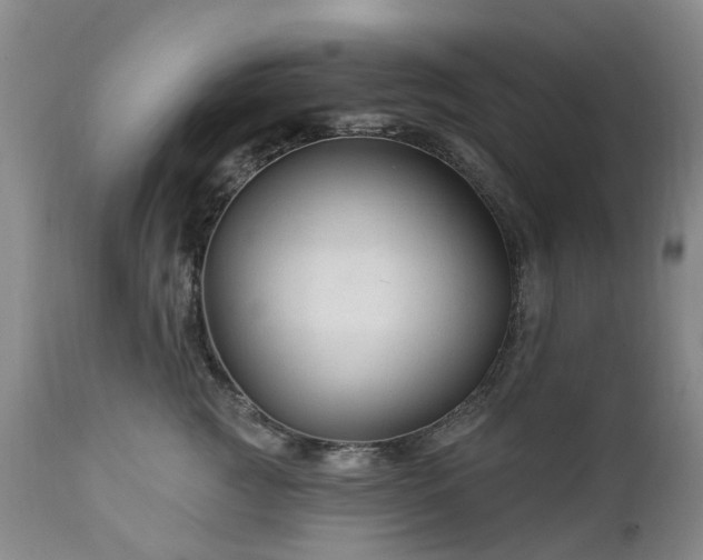 X0000112460761200908241259