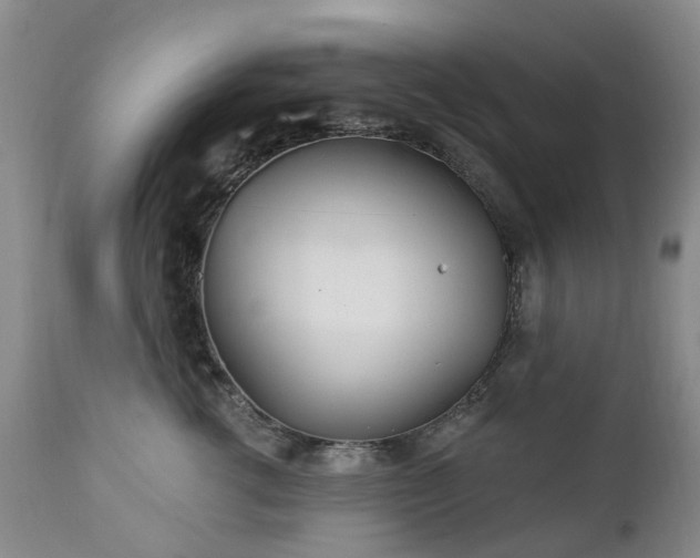 X0000112460762200908241259