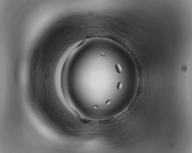 X0000112460764200908241259