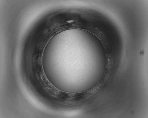 X0000112460765200908241259