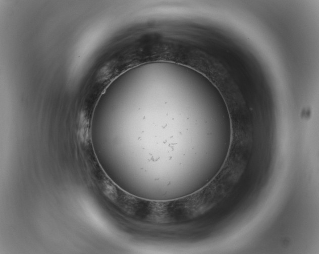 X0000112460766200908241259