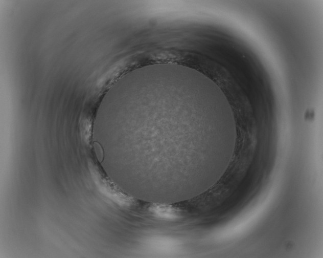 X0000112460767200908241259