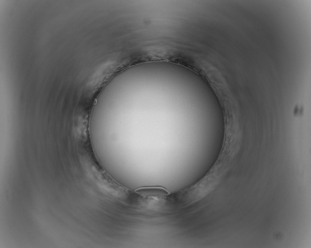 X0000112460768200908241259