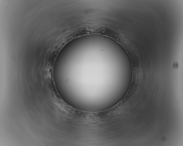 X0000112460770200908241258