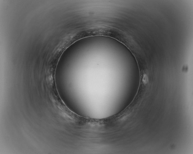 X0000112460771200908241258