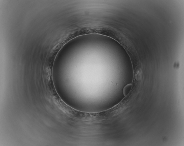 X0000112460772200908241258