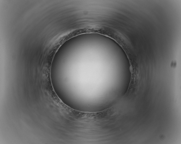 X0000112460773200908241258