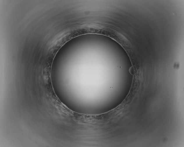 X0000112460774200908241258