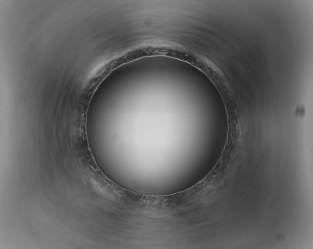 X0000112460775200908241258