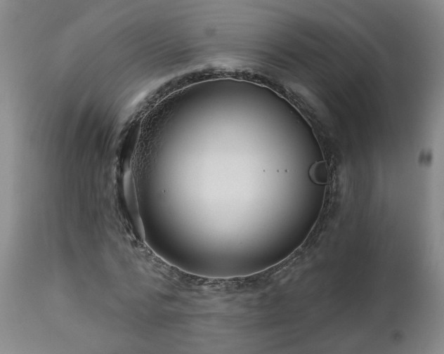 X0000112460776200908241258