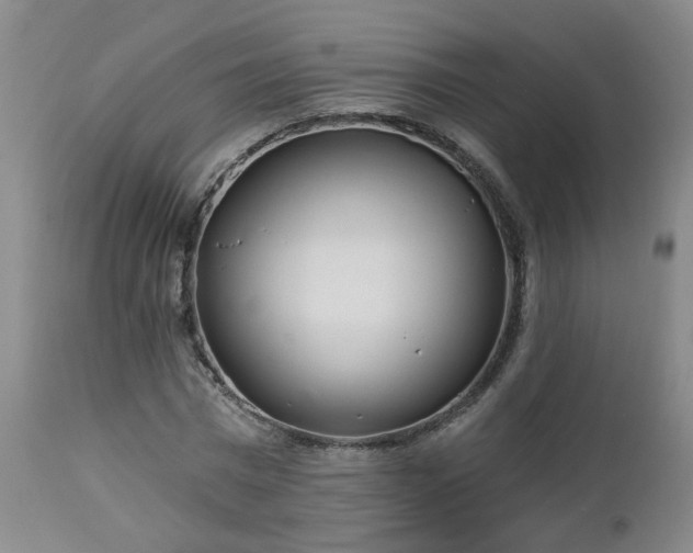 X0000112460777200908241258