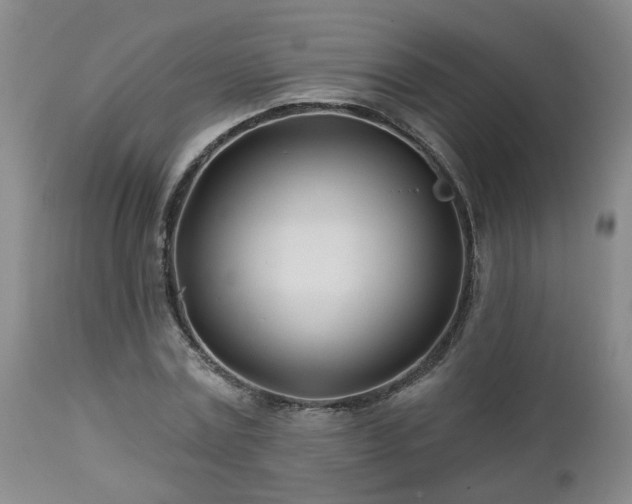 X0000112460779200908241258