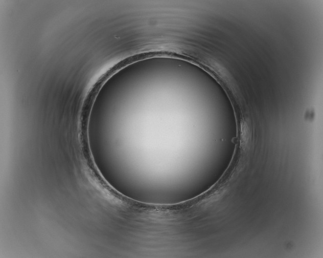 X0000112460780200908241258