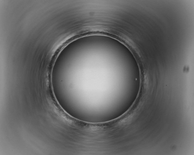 X0000112460782200908241258