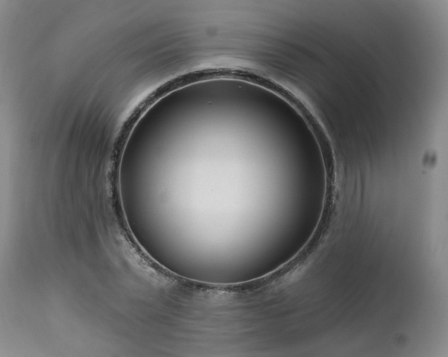 X0000112460783200908241258