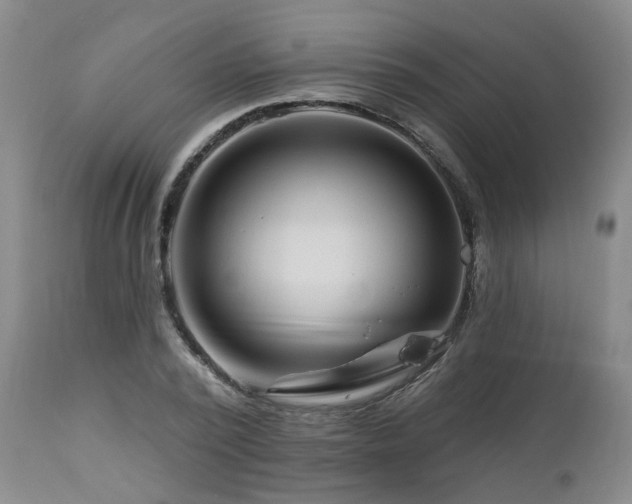 X0000112460784200908241258