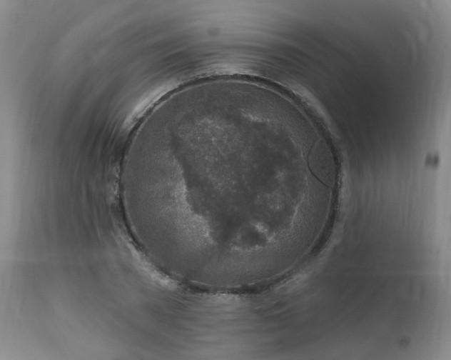 X0000112460785200908241258