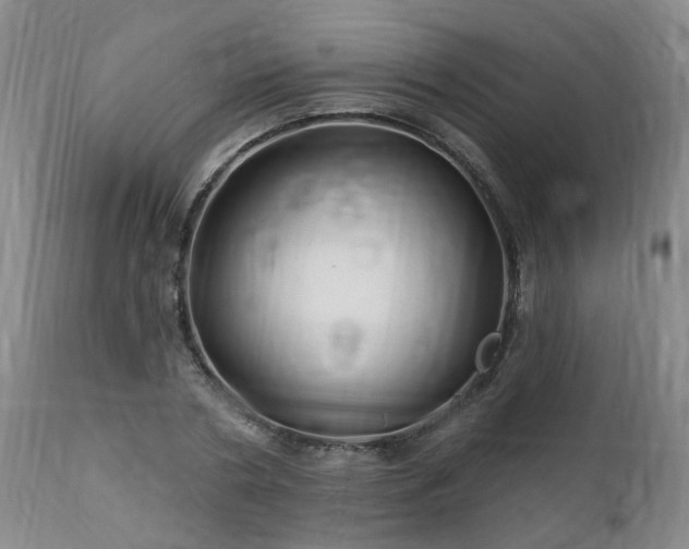 X0000112460786200908241258