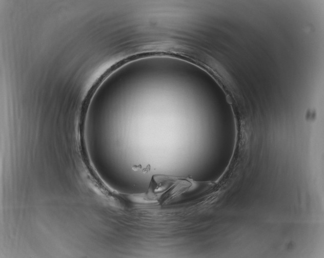 X0000112460788200908241258