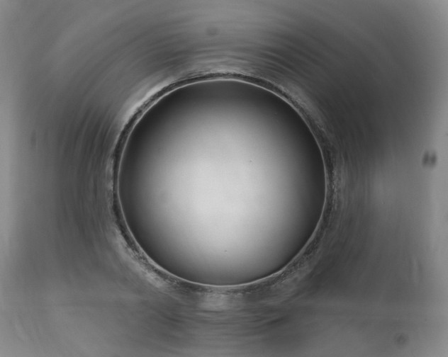 X0000112460790200908241258