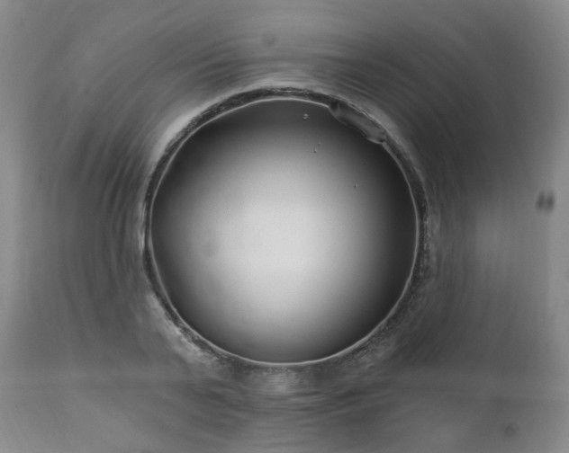 X0000112460791200908241258