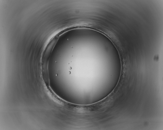 X0000112460792200908241257