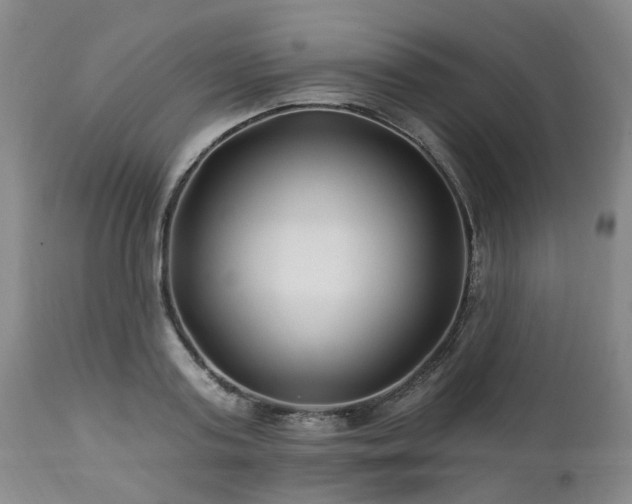 X0000112460795200908241257