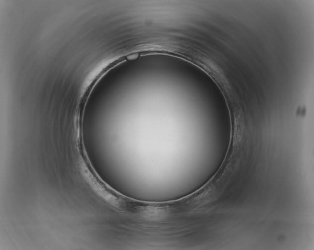 X0000112460796200908241257