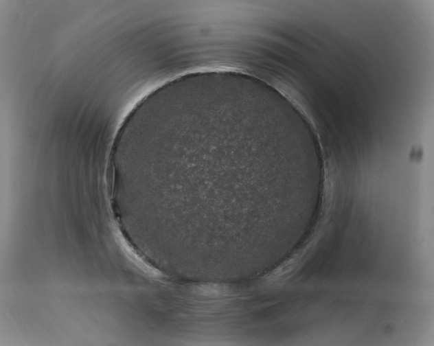 X0000112460797200908241257