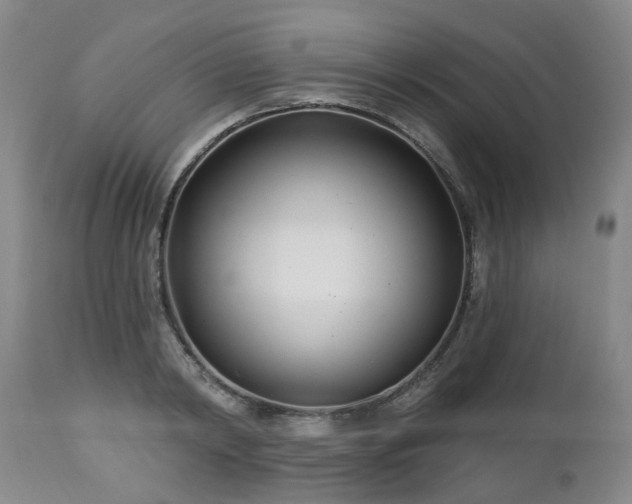 X0000112460798200908241257