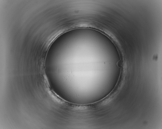 X0000112460801200908241257