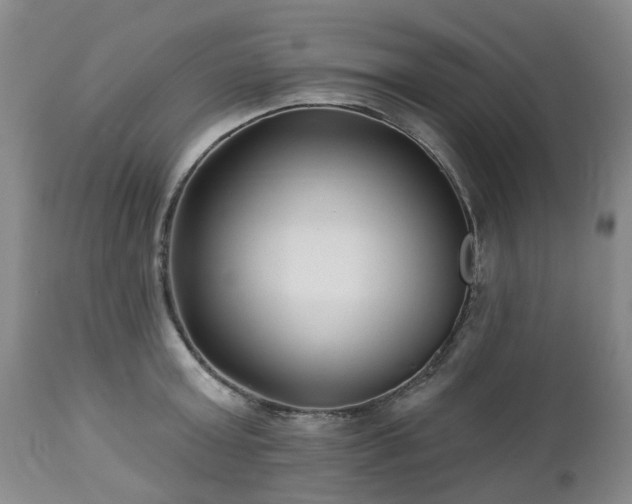 X0000112460803200908241257