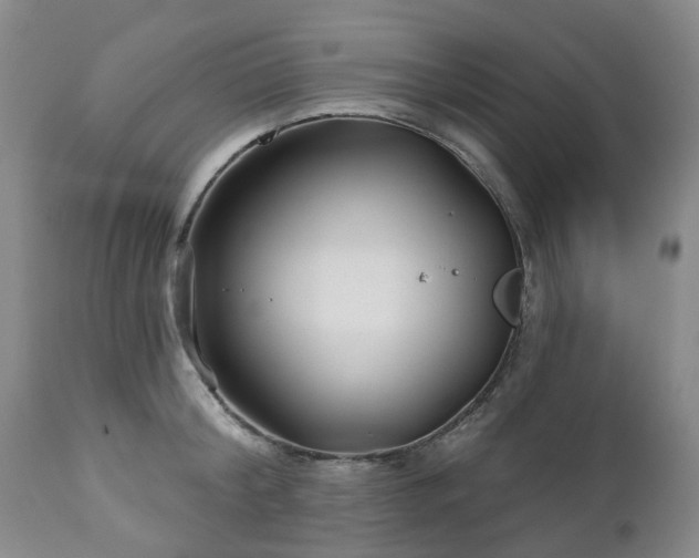 X0000112460804200908241257