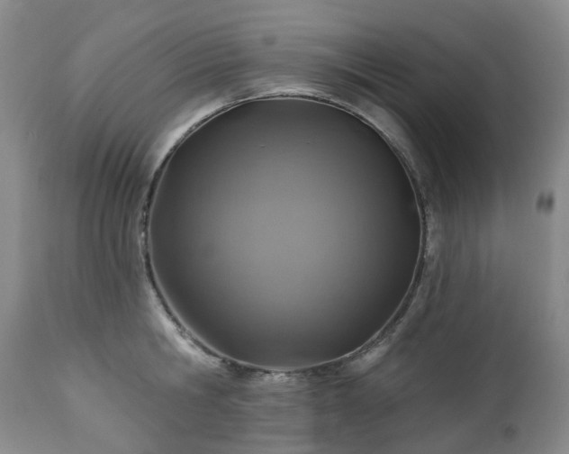 X0000112460806200908241257