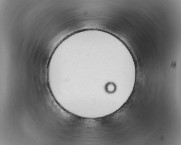 X0000112460807200908241257