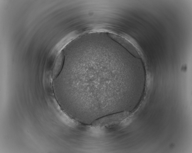 X0000112460809200908241257