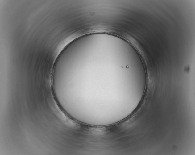 X0000112460810200908241257