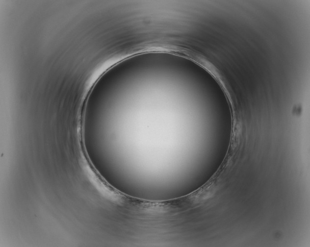 X0000112460811200908241257