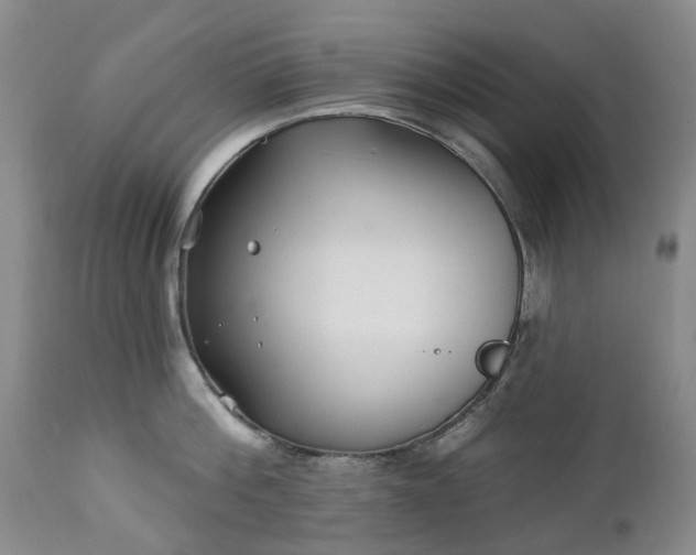 X0000112460812200908241257