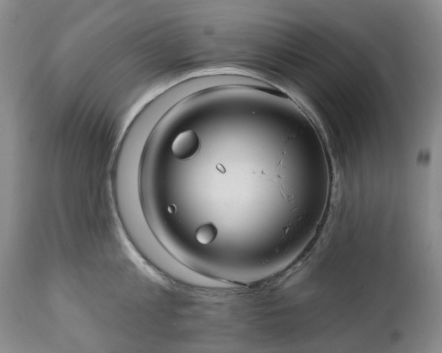 X0000112460813200908241257