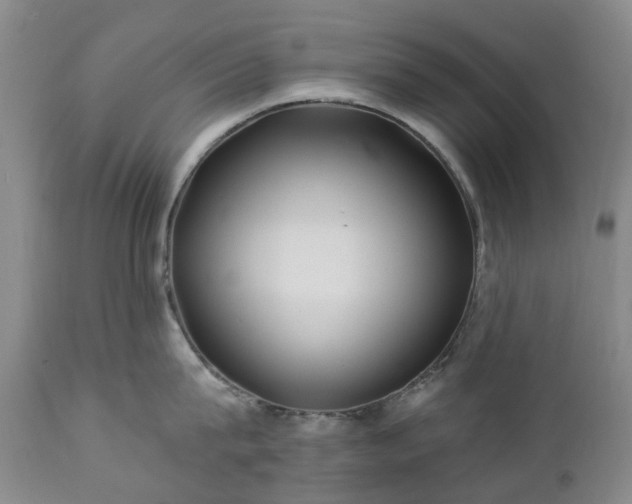 X0000112460815200908241257