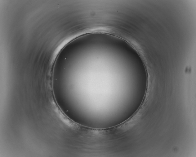 X0000112460816200908241257