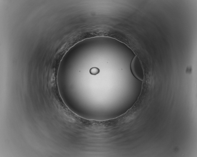 X0000112460818200908241256