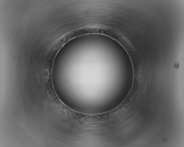 X0000112460821200908241256