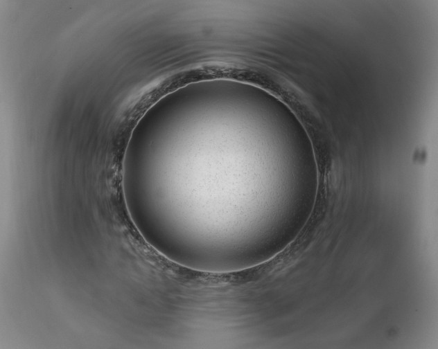 X0000112460822200908241256