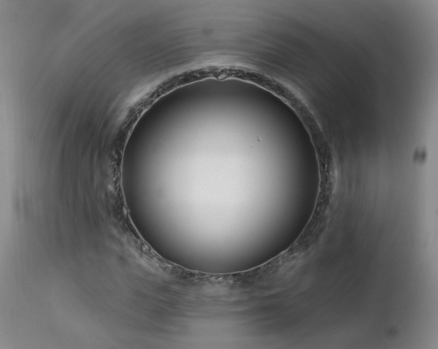 X0000112460823200908241256