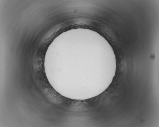 X0000112460824200908241256